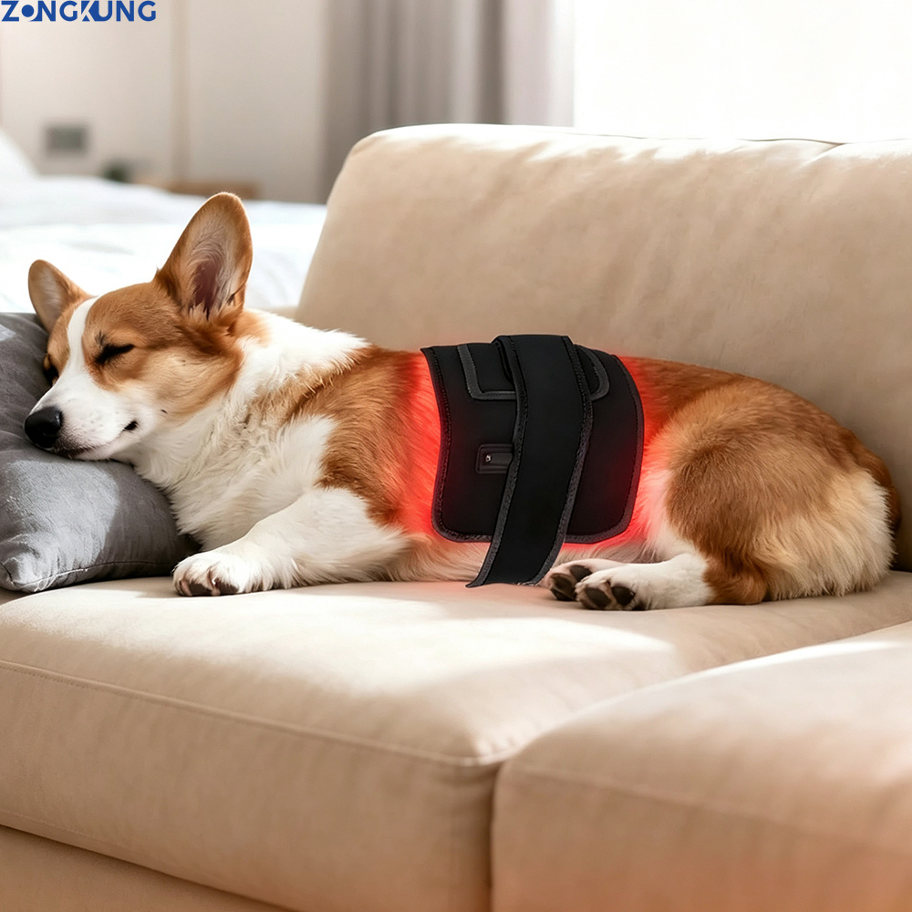 Dispositivo Veterinario per Te - Galvanic Skin Sensor recensione e prezzo